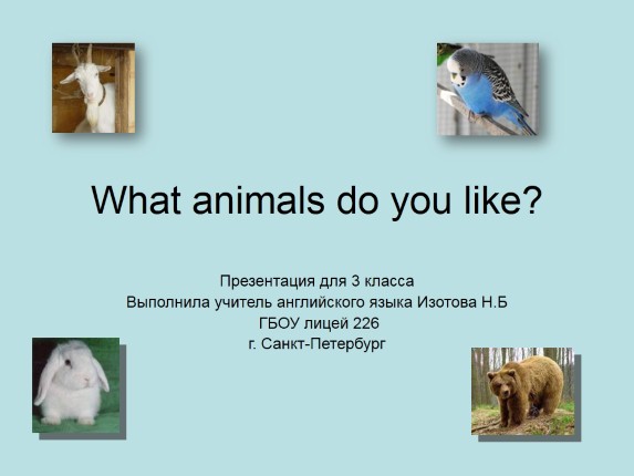 What animals do you like?