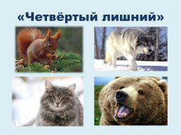 Домашние и дикие животные, слайд 28