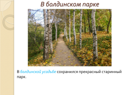 Бодинская осень в творчестве А.С. Пушкина, слайд 14