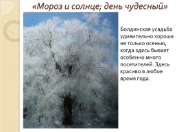 Бодинская осень в творчестве А.С. Пушкина, слайд 21
