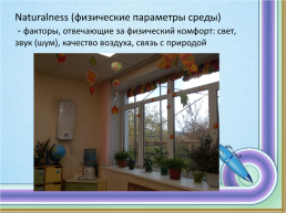 Среда как третий учитель: организационная структура детского и подросткового чтения, слайд 12