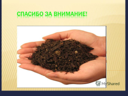 Почва- особое природное тело, слайд 13