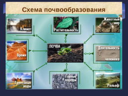Почва- особое природное тело, слайд 8