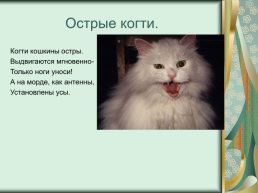 Номинация: «о кошках всерьёз», слайд 18