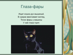 Номинация: «о кошках всерьёз», слайд 19