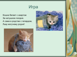 Номинация: «о кошках всерьёз», слайд 20