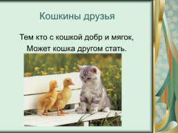 Номинация: «о кошках всерьёз», слайд 21