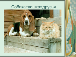 Номинация: «о кошках всерьёз», слайд 22