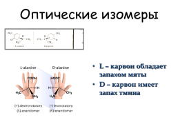 Оптические изомеры, слайд 1