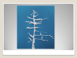 Зимние деревья.. Рисуем деревья., слайд 11