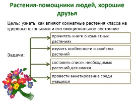 Влияние комнатных растений на организм школьника, слайд 2