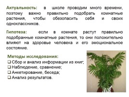 Влияние комнатных растений на организм школьника, слайд 3