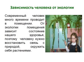 Влияние комнатных растений на организм школьника, слайд 4