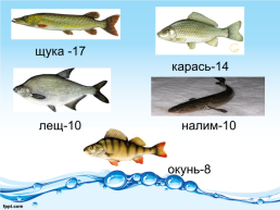 Река родного края, слайд 10