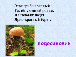 Урок окружающего мира по теме: «в царстве грибов », слайд 17