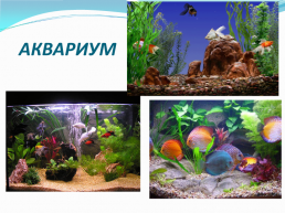 Поделка аквариум, слайд 2