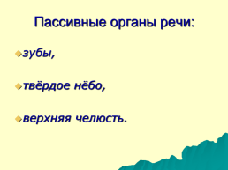 Строение голосового аппарата, слайд 12