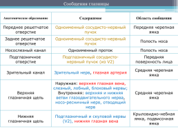 Тревожная объемная потрясная обалденная графическая развивающая анимальная фигурная иллюстративная яркая. Черепа, слайд 27