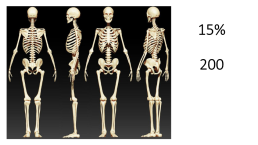Скелет человека. Соединения костей, слайд 2