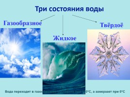 Вода на Земле, слайд 15