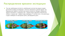 План экспедиции по изучению редкой флоры кузбасса, слайд 10