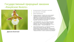 План экспедиции по изучению редкой флоры кузбасса, слайд 9