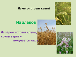 Каша – кормилица наша русский родной язык, слайд 8