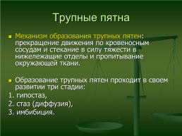 Осмотр места происшествия и трупа на месте его обнаружения, слайд 19