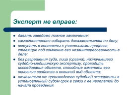 Теоретические, процессуальные, организационные и методические основы, слайд 73