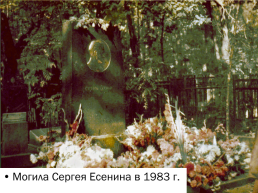 Сергей Александрович Есенин 1895-1925, слайд 11