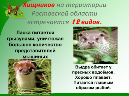 Разнообразие природы Донского края, слайд 12
