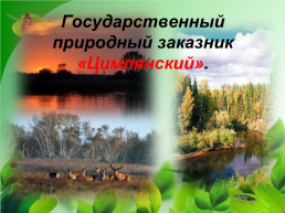 Разнообразие природы Донского края, слайд 27