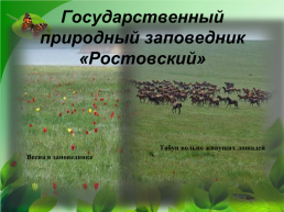 Разнообразие природы Донского края, слайд 29