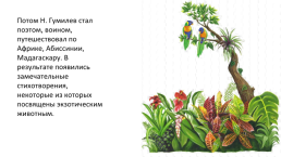Мир образов Николая Гумилева, слайд 17