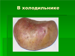 «Ах, картошка, картошка...», слайд 11