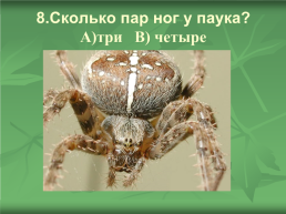 Экологическое ассорти, слайд 12