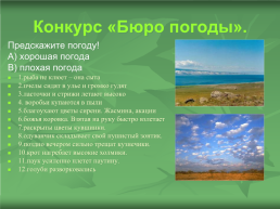 Экологическое ассорти, слайд 16