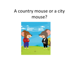 A country mouse or a city mouse?
