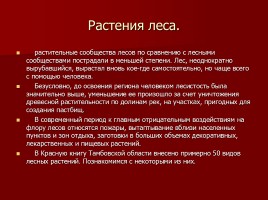 Красная книга Тамбовской области, слайд 12
