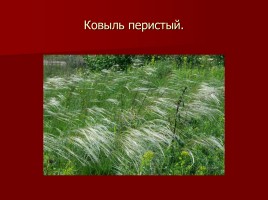 Красная книга Тамбовской области, слайд 5