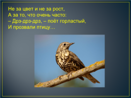 Русский язык. 4 Класс, слайд 2