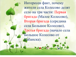 «Топонимический словарь села колесово», слайд 14