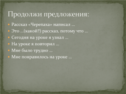 Лев Николаевич Толстой «Черепаха», слайд 10