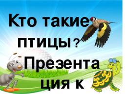 Птицы, слайд 1