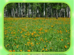 Весна в изумрудном платочке ходит – бродит в лесах и полях, слайд 37