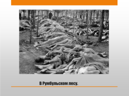 Прибалтийская операция 14 сентября – 24 ноября 1944 г., слайд 7