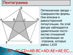 Золотое сечение, слайд 8