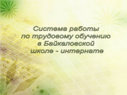 Система работы по трудовому обучению в Байкаловской школе - интернате, слайд 1
