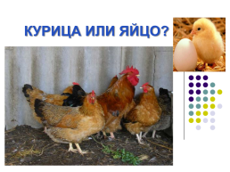 Курица или яйцо?, слайд 1