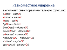 Современный русский литературный язык: нормы, формы и стили, слайд 24